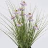 Artificial Grass Echinacea PVC Grass in PP pot GS-03326084-Z1_2 Artificial Grass 40*40*42cm Echinacea PVC Grass in PP pot GS-03326084-Z1 2026Jun 3,000+ sqm showroom with thousands of artificial flowers, plants & trees ready for global sourcing.