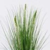 Artificial Grass Hyacinthus Grass 3 in PP pot GS-61926003_1 Artificial Grass 25*25*58cm Hyacinthus Grass *3 in PP pot GS-61926003 2026Aug 3,000+ sqm showroom with thousands of artificial flowers, plants & trees ready for global sourcing.