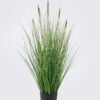 Artificial Grass Hyacinthus Grass 5 in PP pot GS-61926004 Artificial Grass 40*40*85cm Hyacinthus Grass *5 in PP pot GS-61926004 2026Aug 3,000+ sqm showroom with thousands of artificial flowers, plants & trees ready for global sourcing.