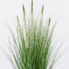 Artificial Grass Hyacinthus Grass 5 in PP pot GS-61926004_1 Artificial Grass 40*40*85cm Hyacinthus Grass *5 in PP pot GS-61926004 2026Aug 3,000+ sqm showroom with thousands of artificial flowers, plants & trees ready for global sourcing.