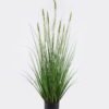 Artificial Grass Pennisetum Grass 7 in PP pot GS-61925068 Artificial Grass 50*50*120cm Pennisetum Grass *7 in PP pot GS-61925068 2026Aug 3,000+ sqm showroom with thousands of artificial flowers, plants & trees ready for global sourcing.