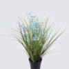 Artificial Grass Pentas PVC Grass in PP pot GS-03326085-B1 Artificial Grass 40*40*42cm Pentas PVC Grass in PP pot GS-03326085-B1 2026Jun 3,000+ sqm showroom with thousands of artificial flowers, plants & trees ready for global sourcing.