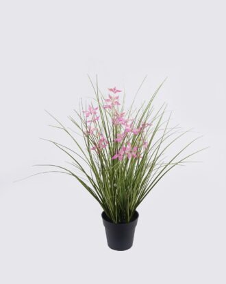 Artificial Grass 40*40*42cm Pentas PVC Grass in PP pot GS-03326085-P2 2026Jun 3,000+ sqm showroom with thousands of artificial flowers, plants & trees ready for global sourcing. Artificial Grass 40*40*42cm Pentas PVC Grass in PP pot GS-03326085-P2 2026Jun 3,000+ sqm showroom with thousands of artificial flowers, plants & trees ready for global sourcing.