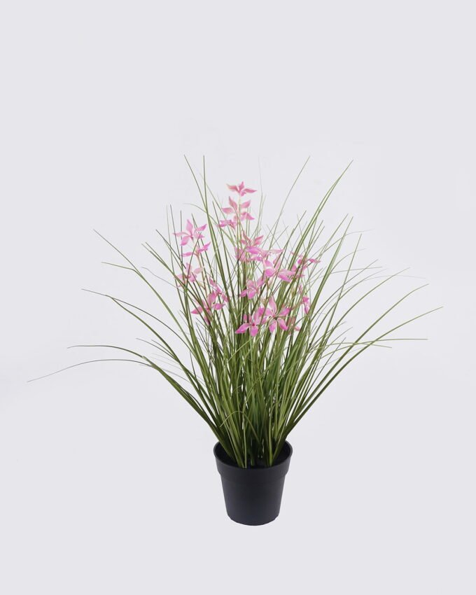 Artificial Grass 40*40*42cm Pentas PVC Grass in PP pot GS-03326085-P2 2026Jun 3,000+ sqm showroom with thousands of artificial flowers, plants & trees ready for global sourcing.
