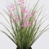 Artificial Grass Pentas PVC Grass in PP pot GS-03326085-P2_2 Artificial Grass 40*40*42cm Pentas PVC Grass in PP pot GS-03326085-P2 2026Jun 3,000+ sqm showroom with thousands of artificial flowers, plants & trees ready for global sourcing.