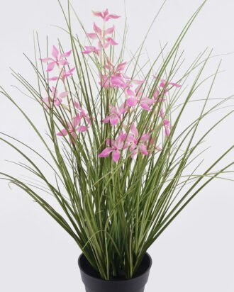 Artificial Grass 40*40*42cm Pentas PVC Grass in PP pot GS-03326085-P2 2026Jun 3,000+ sqm showroom with thousands of artificial flowers, plants & trees ready for global sourcing. Artificial Grass 40*40*42cm Pentas PVC Grass in PP pot GS-03326085-P2 2026Jun 3,000+ sqm showroom with thousands of artificial flowers, plants & trees ready for global sourcing.
