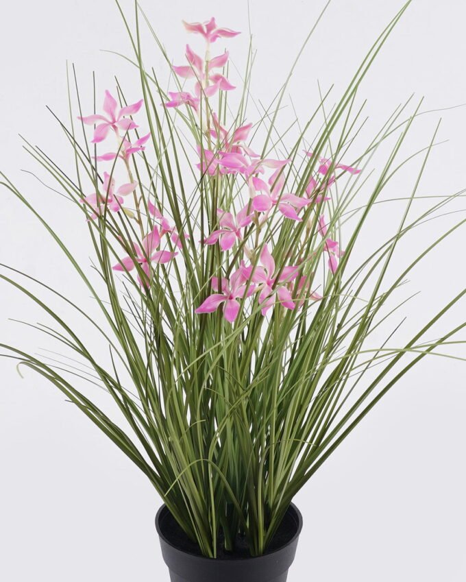 Artificial Grass Pentas PVC Grass in PP pot GS-03326085-P2_2 Artificial Grass 40*40*42cm Pentas PVC Grass in PP pot GS-03326085-P2 2026Jun 3,000+ sqm showroom with thousands of artificial flowers, plants & trees ready for global sourcing.