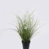Artificial Grass Pentas PVC Grass in PP pot GS-03326085-W1 Artificial Grass 40*40*42cm Pentas PVC Grass in PP pot GS-03326085-W1 2026Jun 3,000+ sqm showroom with thousands of artificial flowers, plants & trees ready for global sourcing.