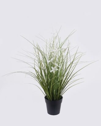 Artificial Grass 40*40*42cm Pentas PVC Grass in PP pot GS-03326085-W1 2026Jun 3,000+ sqm showroom with thousands of artificial flowers, plants & trees ready for global sourcing. Artificial Grass 40*40*42cm Pentas PVC Grass in PP pot GS-03326085-W1 2026Jun 3,000+ sqm showroom with thousands of artificial flowers, plants & trees ready for global sourcing.