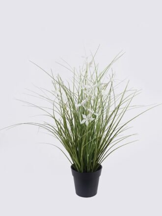 Artificial Grass 40*40*42cm Pentas PVC Grass in PP pot GS-03326085-P2 2026Jun 3,000+ sqm showroom with thousands of artificial flowers, plants & trees ready for global sourcing.