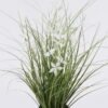 Artificial Grass Pentas PVC Grass in PP pot GS-03326085-W1_2 Artificial Grass 40*40*42cm Pentas PVC Grass in PP pot GS-03326085-W1 2026Jun 3,000+ sqm showroom with thousands of artificial flowers, plants & trees ready for global sourcing.