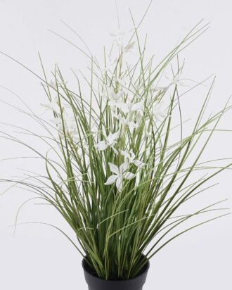 Artificial Grass 40*40*42cm Pentas PVC Grass in PP pot GS-03326085-W1 2026Jun 3,000+ sqm showroom with thousands of artificial flowers, plants & trees ready for global sourcing. Artificial Grass 40*40*42cm Pentas PVC Grass in PP pot GS-03326085-W1 2026Jun 3,000+ sqm showroom with thousands of artificial flowers, plants & trees ready for global sourcing.