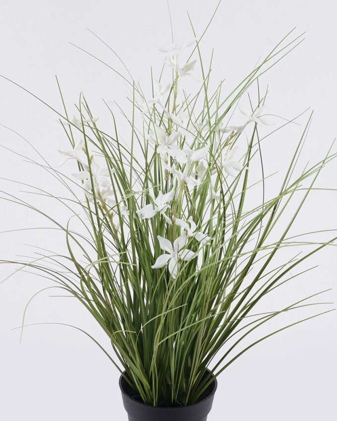 Artificial Grass Pentas PVC Grass in PP pot GS-03326085-W1_2 Artificial Grass 40*40*42cm Pentas PVC Grass in PP pot GS-03326085-W1 2026Jun 3,000+ sqm showroom with thousands of artificial flowers, plants & trees ready for global sourcing.
