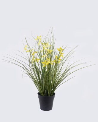 Artificial Grass 40*40*42cm Pentas PVC Grass in PP pot GS-03326085-Y1 2026Jun 3,000+ sqm showroom with thousands of artificial flowers, plants & trees ready for global sourcing. Artificial Grass 40*40*42cm Pentas PVC Grass in PP pot GS-03326085-Y1 2026Jun 3,000+ sqm showroom with thousands of artificial flowers, plants & trees ready for global sourcing.