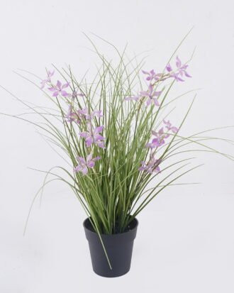 Artificial Grass 40*40*42cm Pentas PVC Grass in PP pot GS-03326085-Z1 2026Jun 3,000+ sqm showroom with thousands of artificial flowers, plants & trees ready for global sourcing. Artificial Grass 40*40*42cm Pentas PVC Grass in PP pot GS-03326085-Z1 2026Jun 3,000+ sqm showroom with thousands of artificial flowers, plants & trees ready for global sourcing.