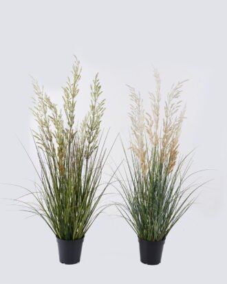 Artificial Grass 30*30*90cm Wheat Onion grass *5 in PP pot GS-76126027 2026Aug 3,000+ sqm showroom with thousands of artificial flowers, plants & trees ready for global sourcing.