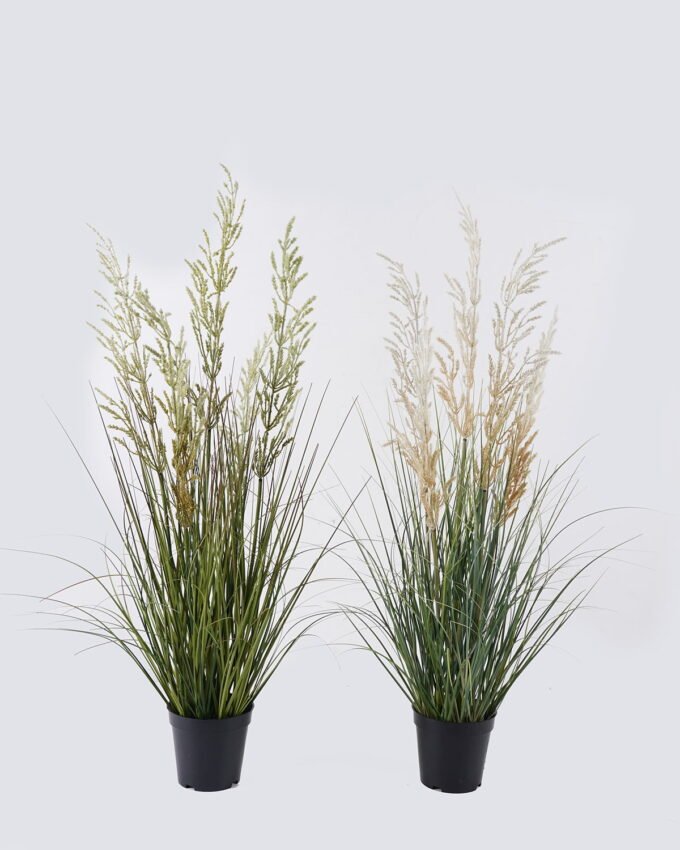 Artificial Grass 30*30*90cm Wheat Onion grass *5 in PP pot GS-76126027 2026Aug 3,000+ sqm showroom with thousands of artificial flowers, plants & trees ready for global sourcing.
