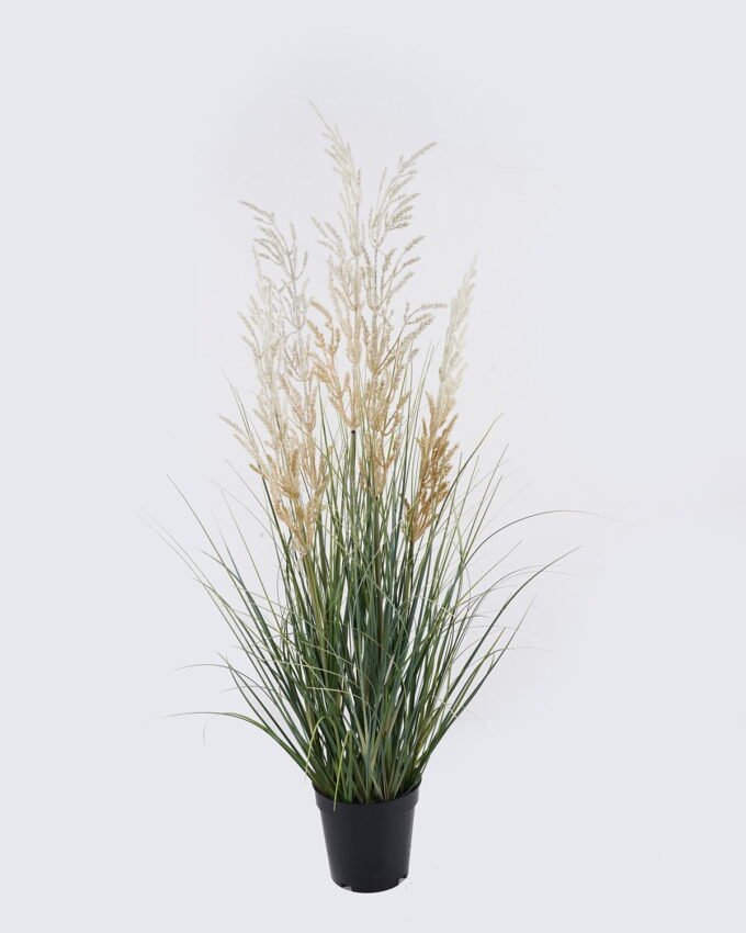 Artificial Grass 30*30*90cm Wheat Onion grass *5 in PP pot GS-76126027 2026Aug 3,000+ sqm showroom with thousands of artificial flowers, plants & trees ready for global sourcing.