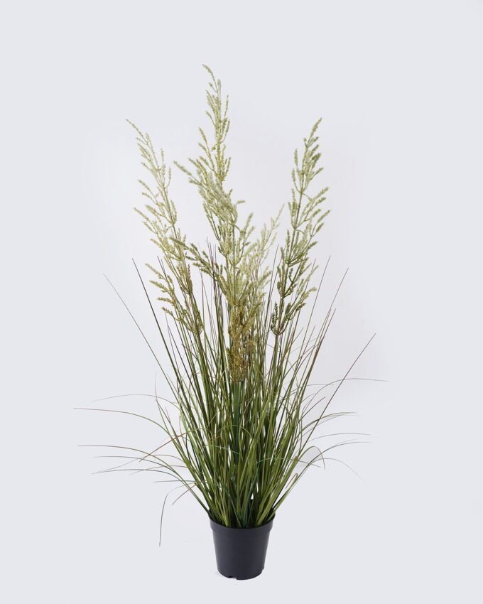 Artificial Grass 30*30*90cm Wheat Onion grass *5 in PP pot GS-76126027 2026Aug 3,000+ sqm showroom with thousands of artificial flowers, plants & trees ready for global sourcing.