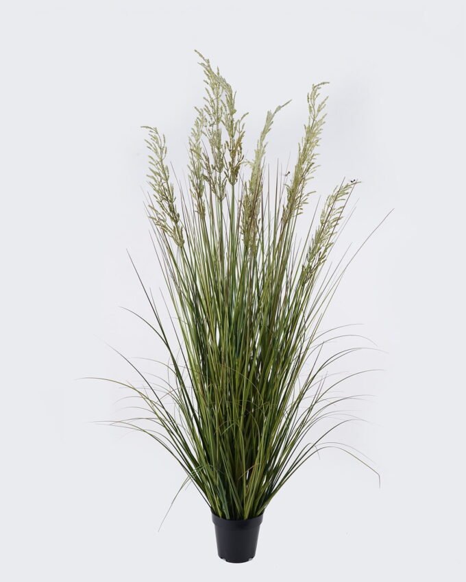Artificial Grass 50*50*150cm Wheat Onion grass *9 in PP pot GS-76126029 2026Aug 3,000+ sqm showroom with thousands of artificial flowers, plants & trees ready for global sourcing.