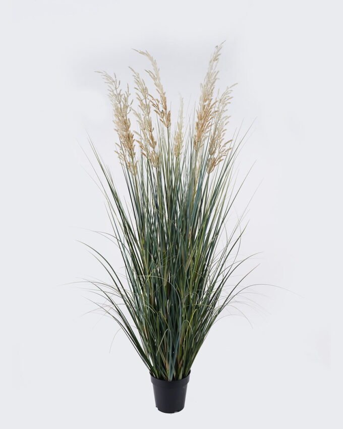 Artificial Grass Wheat Onion grass 9 in PP pot GS-76126029_4 Artificial Grass 50*50*150cm Wheat Onion grass *9 in PP pot GS-76126029 2026Aug 3,000+ sqm showroom with thousands of artificial flowers, plants & trees ready for global sourcing.
