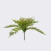 Artificial Plant 42cm Fern bush GS-57626002_1 Artificial Plant 42cm Fern bush GS-57626002 2026Aug 3,000+ sqm showroom with thousands of artificial flowers, plants & trees ready for global sourcing.