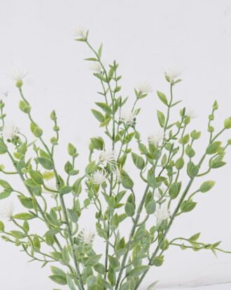 Artificial Plant 17*6*40cm Acanthosphere *5 bush GS-01126003 2026Jun 3,000+ sqm showroom with thousands of artificial flowers, plants & trees ready for global sourcing. Artificial Plant 17*6*40cm Acanthosphere *5 bush GS-01126003 2026Jun 3,000+ sqm showroom with thousands of artificial flowers, plants & trees ready for global sourcing.