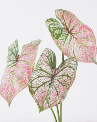 Artificial Plant 20*8*55cm Alocasia *3 single stem GS-83526005-G1 2026SEP 3,000+ sqm showroom with thousands of artificial flowers, plants & trees ready for global sourcing. Artificial Plant 20*8*55cm Alocasia *3 single stem GS-83526005-G1 2026SEP 3,000+ sqm showroom with thousands of artificial flowers, plants & trees ready for global sourcing.