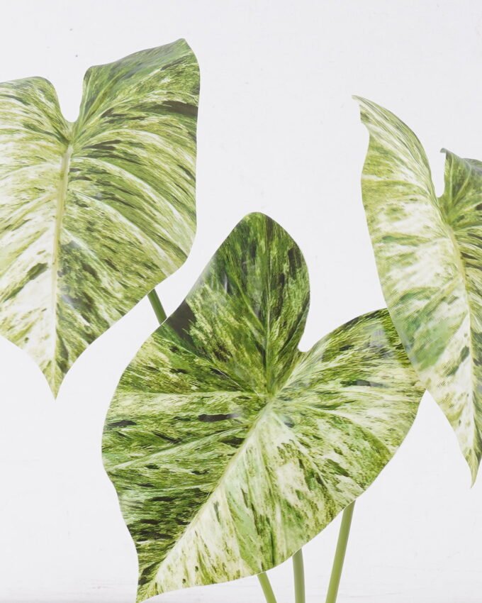 Artificial Plant 20*8*55cm Alocasia *3 single stem GS-83526005-G3 2026SEP 3,000+ sqm showroom with thousands of artificial flowers, plants & trees ready for global sourcing.