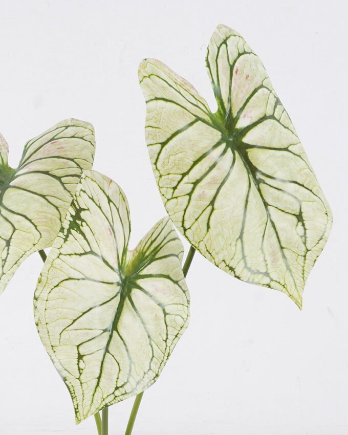 Artificial Plant 20*8*55cm Alocasia *3 single stem GS-83526005 2026SEP 3,000+ sqm showroom with thousands of artificial flowers, plants & trees ready for global sourcing.
