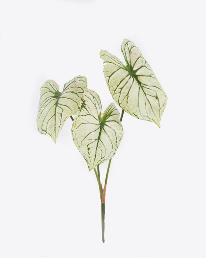 Artificial Plant Alocasia 3 single stem GS-83526005_3 Artificial Plant 20*8*55cm Alocasia *3 single stem GS-83526005 2026SEP 3,000+ sqm showroom with thousands of artificial flowers, plants & trees ready for global sourcing.