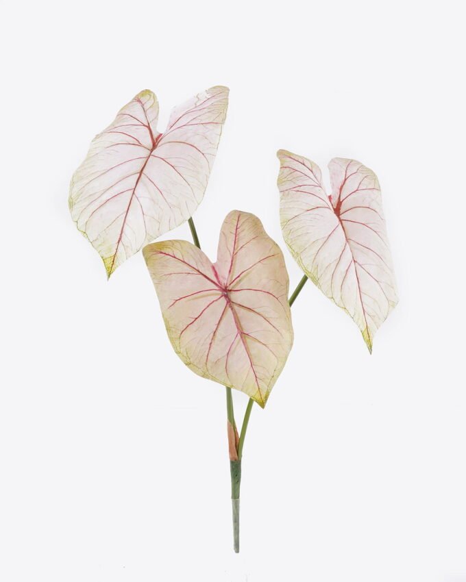 Artificial Plant Alocasia 3 single stem GS-83526005_5 Artificial Plant 20*8*55cm Alocasia *3 single stem GS-83526005 2026SEP 3,000+ sqm showroom with thousands of artificial flowers, plants & trees ready for global sourcing.