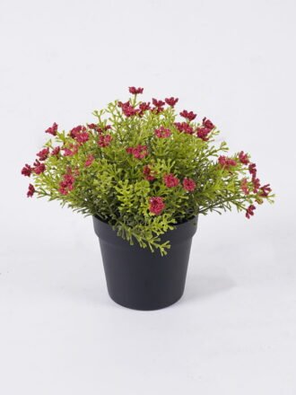 Artificial Plant 18*18*20cm Anise herb in PP pot GS-59126006 2026Aug 3,000+ sqm showroom with thousands of artificial flowers, plants & trees ready for global sourcing.