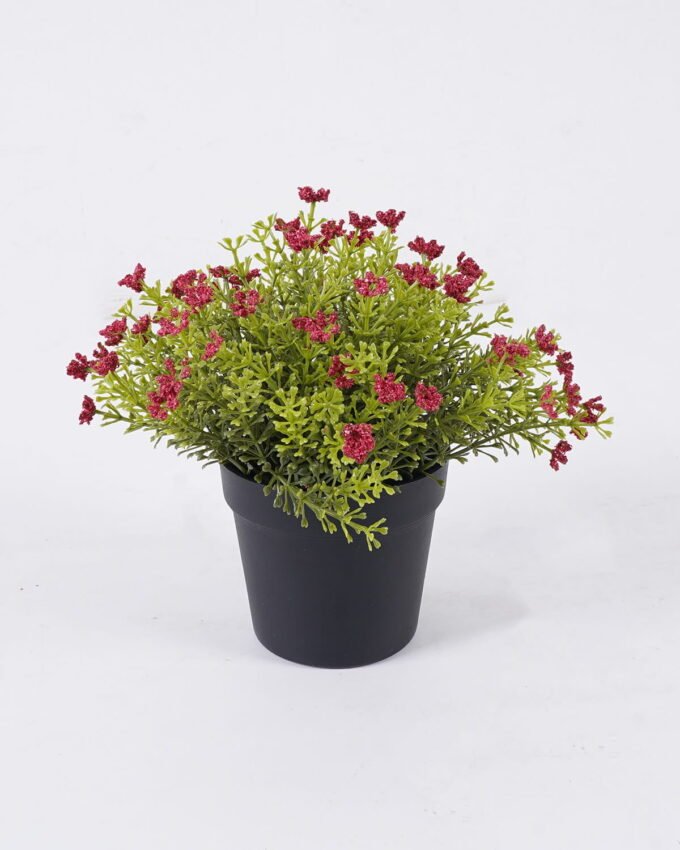 Artificial Plant 18*18*20cm Anise herb in PP pot GS-59126006-P1 2026Aug 3,000+ sqm showroom with thousands of artificial flowers, plants & trees ready for global sourcing.