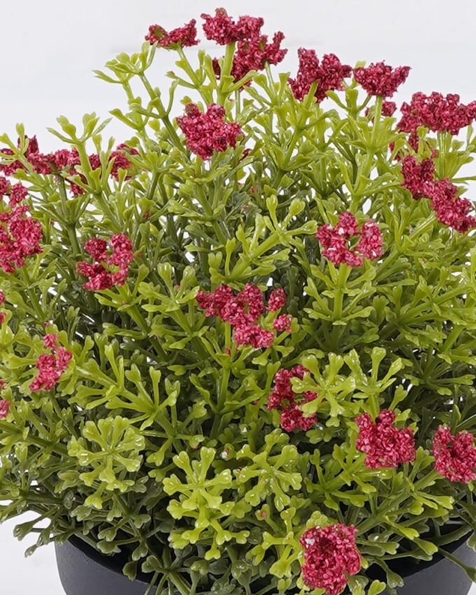 Artificial Plant Anise herb in PP pot GS-59126006-P1_5 Artificial Plant 18*18*20cm Anise herb in PP pot GS-59126006-P1 2026Aug 3,000+ sqm showroom with thousands of artificial flowers, plants & trees ready for global sourcing.