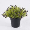 Artificial Plant Anise herb in PP pot GS-59126006-Z1 Artificial Plant 18*18*20cm Anise herb in PP pot GS-59126006-Z1 2026Aug 3,000+ sqm showroom with thousands of artificial flowers, plants & trees ready for global sourcing.