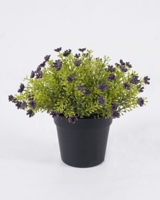Artificial Plant 18*18*20cm Anise herb in PP pot GS-59126006-Z1 2026Aug 3,000+ sqm showroom with thousands of artificial flowers, plants & trees ready for global sourcing.