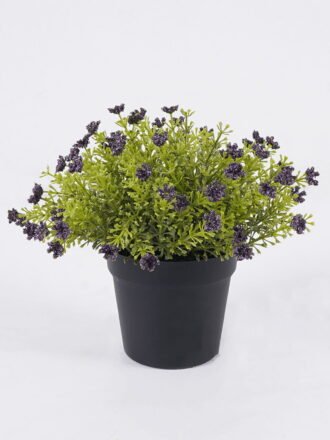 Artificial Plant 18*18*20cm Anise herb in PP pot GS-59126006-P1 2026Aug 3,000+ sqm showroom with thousands of artificial flowers, plants & trees ready for global sourcing.