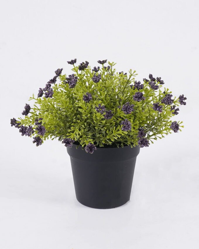 Artificial Plant 18*18*20cm Anise herb in PP pot GS-59126006-Z1 2026Aug 3,000+ sqm showroom with thousands of artificial flowers, plants & trees ready for global sourcing.