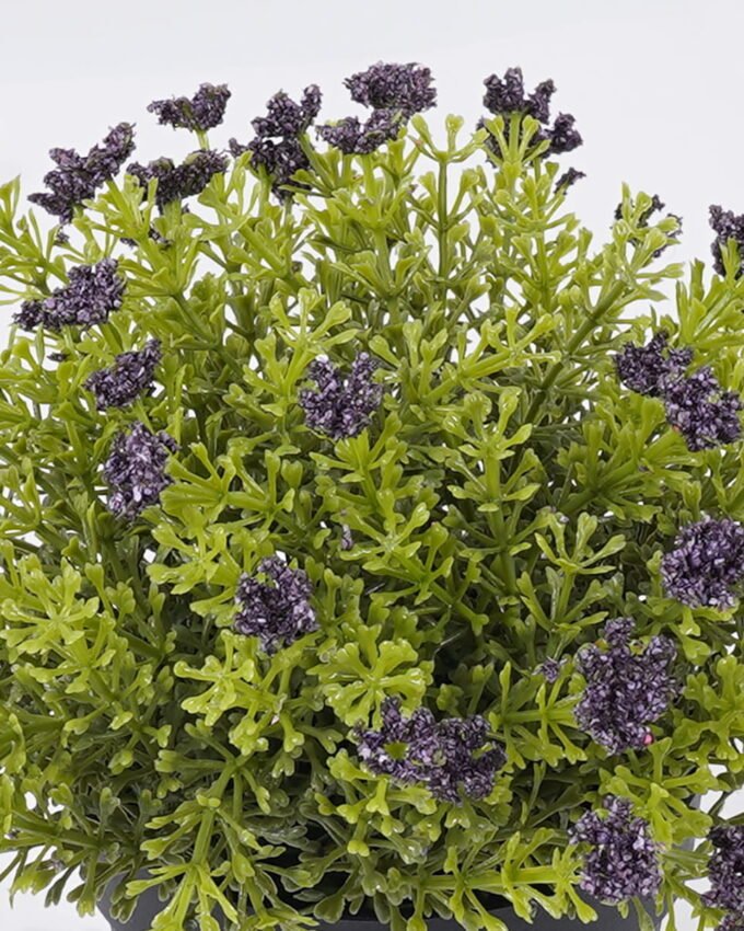 Artificial Plant 18*18*20cm Anise herb in PP pot GS-59126006-Z1 2026Aug 3,000+ sqm showroom with thousands of artificial flowers, plants & trees ready for global sourcing.