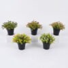 Artificial Plant Anise herb in PP pot GS-59126006_1 Artificial Plant 18*18*20cm Anise herb in PP pot GS-59126006 2026Aug 3,000+ sqm showroom with thousands of artificial flowers, plants & trees ready for global sourcing.