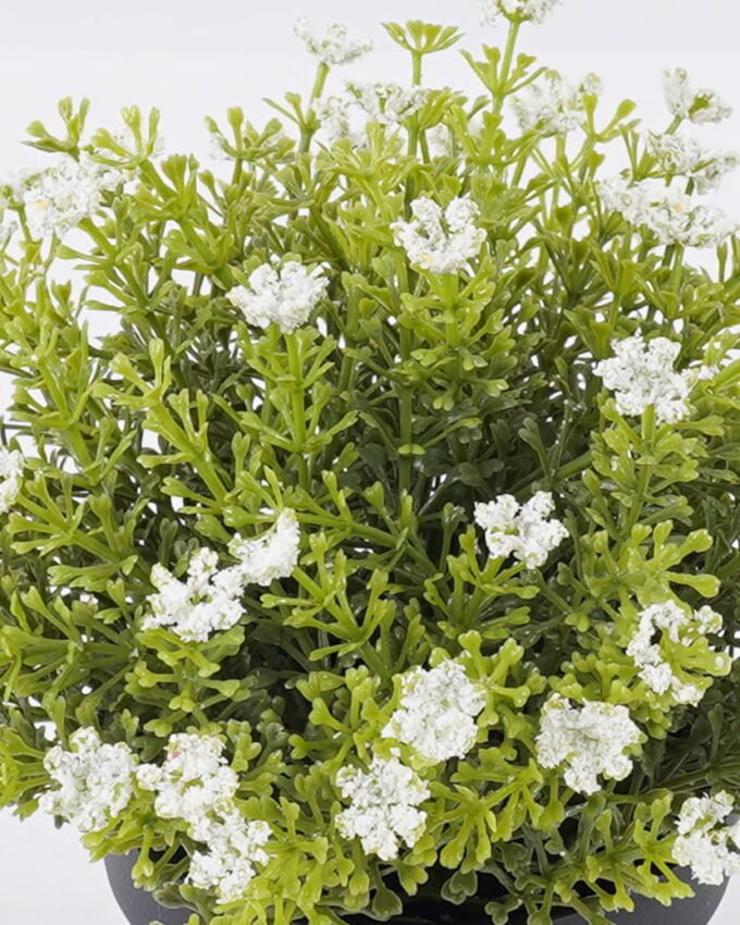 Artificial Plant 18*18*20cm Anise herb in PP pot GS-59126006 2026Aug 3,000+ sqm showroom with thousands of artificial flowers, plants & trees ready for global sourcing.