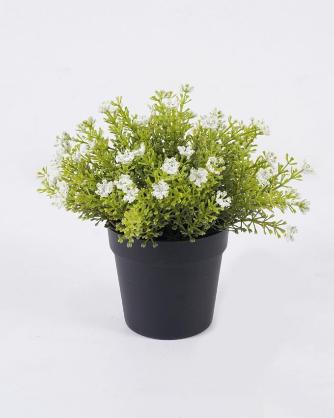 Artificial Plant Anise herb in PP pot GS-59126006_3 Artificial Plant 18*18*20cm Anise herb in PP pot GS-59126006 2026Aug 3,000+ sqm showroom with thousands of artificial flowers, plants & trees ready for global sourcing.
