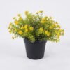 Artificial Plant Anise herb in PP pot GS-59126006_5 Artificial Plant 18*18*20cm Anise herb in PP pot GS-59126006 2026Aug 3,000+ sqm showroom with thousands of artificial flowers, plants & trees ready for global sourcing.