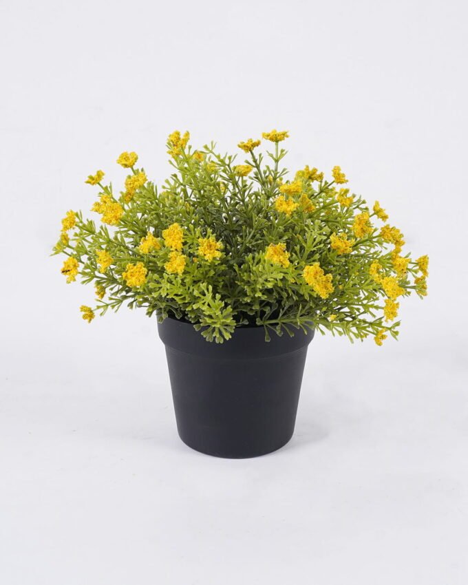 Artificial Plant Anise herb in PP pot GS-59126006_5 Artificial Plant 18*18*20cm Anise herb in PP pot GS-59126006 2026Aug 3,000+ sqm showroom with thousands of artificial flowers, plants & trees ready for global sourcing.