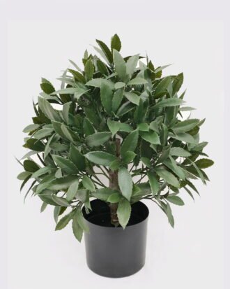 Artificial Plant 46*46*60cm Anti-UV Tree in PP pot GS-02226009-UV 2026Jun 3,000+ sqm showroom with thousands of artificial flowers, plants & trees ready for global sourcing. Artificial Plant 46*46*60cm Anti-UV Tree in PP pot GS-02226009-UV 2026Jun 3,000+ sqm showroom with thousands of artificial flowers, plants & trees ready for global sourcing.