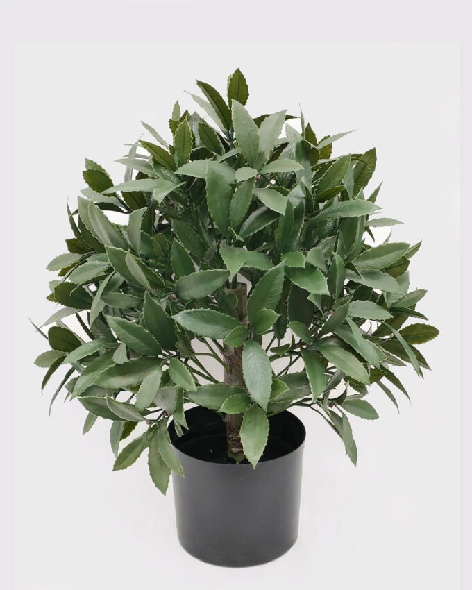 Artificial Plant 46*46*60cm Anti-UV Tree in PP pot GS-02226009-UV 2026Jun 3,000+ sqm showroom with thousands of artificial flowers, plants & trees ready for global sourcing.