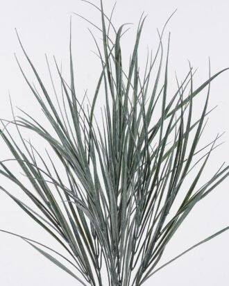 Artificial Plant 20*2*80cm Aquatic plant *9 bush GS-01126001 2026Jun 3,000+ sqm showroom with thousands of artificial flowers, plants & trees ready for global sourcing. Artificial Plant 20*2*80cm Aquatic plant *9 bush GS-01126001 2026Jun 3,000+ sqm showroom with thousands of artificial flowers, plants & trees ready for global sourcing.