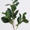 Artificial Plant 24*9*58cm Bean leaves *3 single stem GS-14326001 2026Jun 3,000+ sqm showroom with thousands of artificial flowers, plants & trees ready for global sourcing.