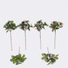 Artificial Plant Bilberry single stem GS-83626009_1 Artificial Plant 12*7*27cm Bilberry single stem GS-83626009 2026SEP 3,000+ sqm showroom with thousands of artificial flowers, plants & trees ready for global sourcing.